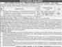 tenders online