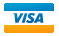 Visa Credit Card Payment
